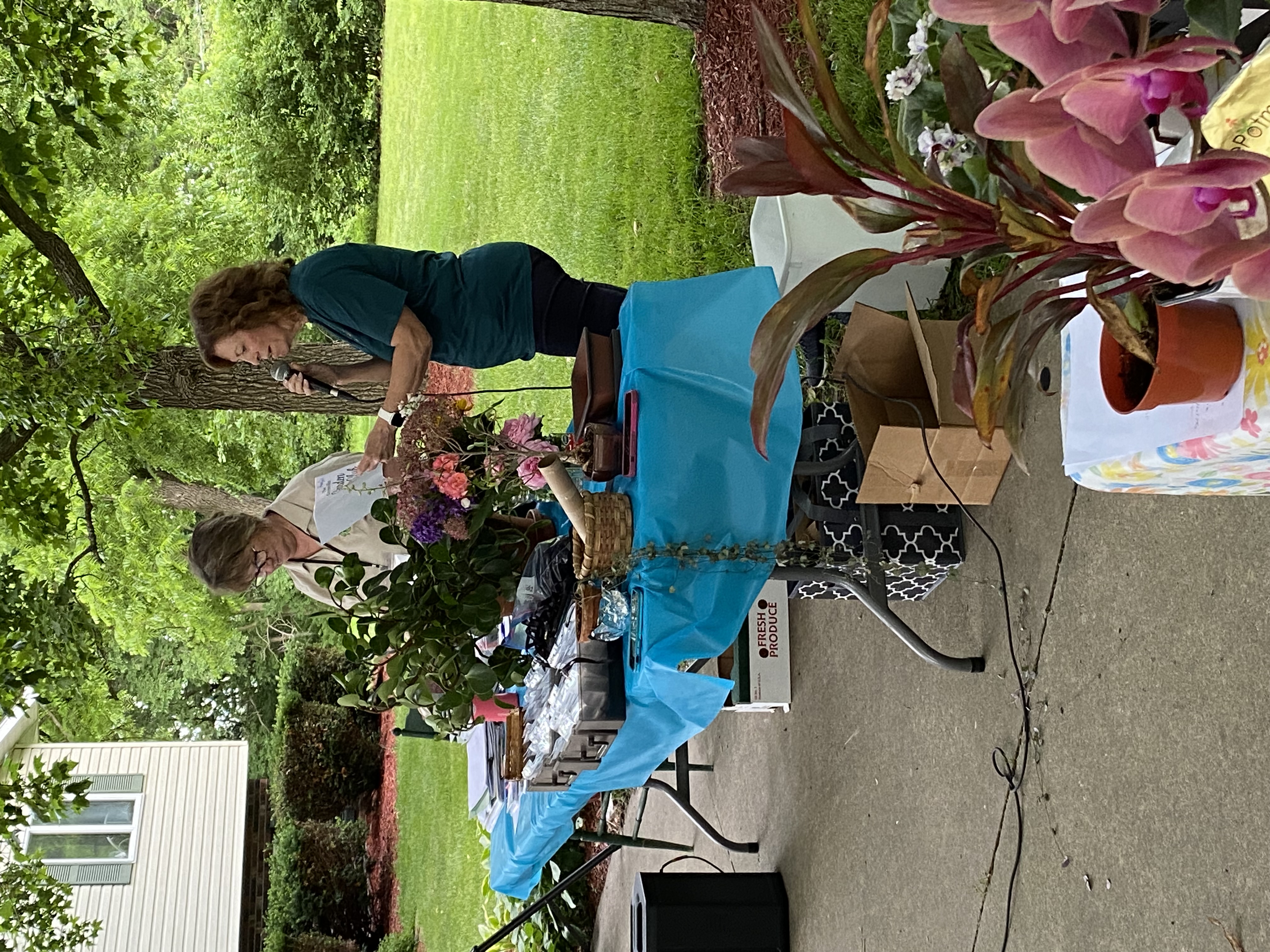 Garden photo